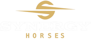 logo synergy horses performance santé chevaux