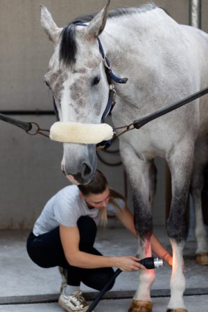 Photo d'une séance avec l'Equidias au dessus du sabot