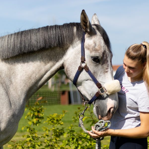 synergie paarden