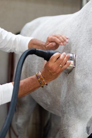 Aplicación de Equidias en el caballo